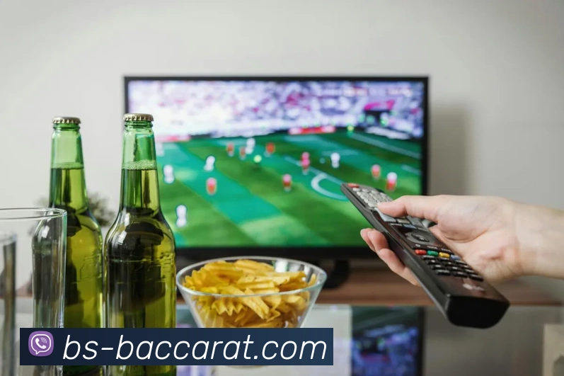 多媒体互动体验