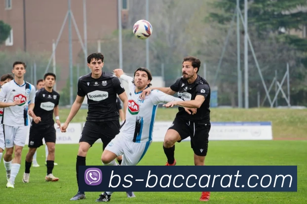 百家乐官网积极参与科技教育项目，培养下一代领袖。百家乐平台百家乐集团官网APP 封面图